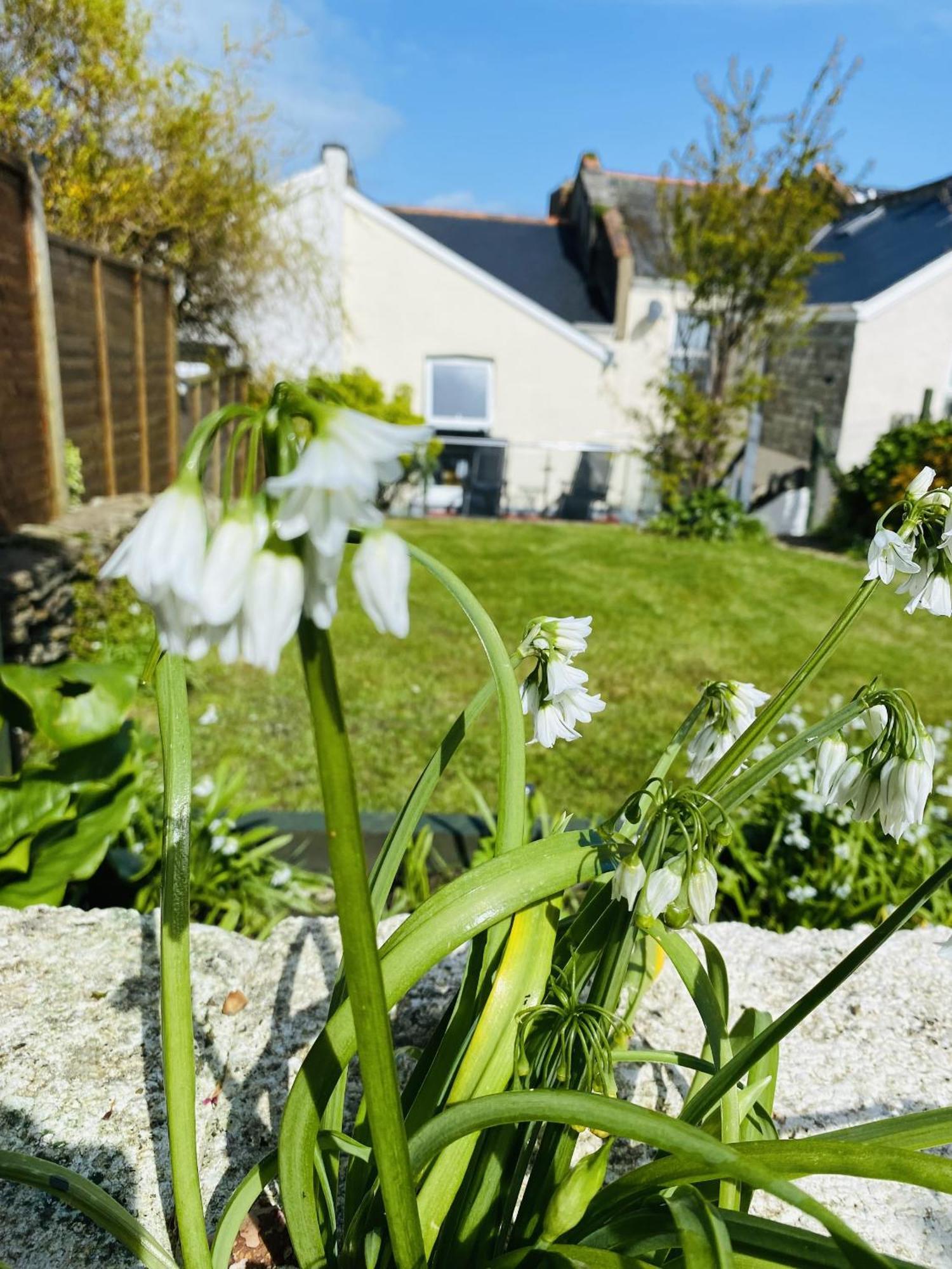 Ocean Terrace, Ilfracombe, 4 Bedrooms, Sleeps 8, Stunning Sea Views, Parking, Garden, Pet Friendly Holiday home Ilfracombe